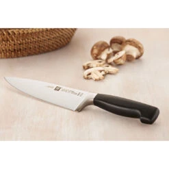 Zwilling Messerset 2-tlg -Zwilling Geschäft 750031401