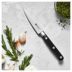 Zwilling Spick & Garniermesser 10 Cm -Zwilling Geschäft 750033565