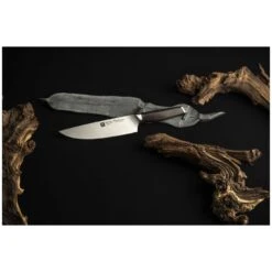 Zwilling Kochmesser 20 Cm -Zwilling Geschäft 750060539
